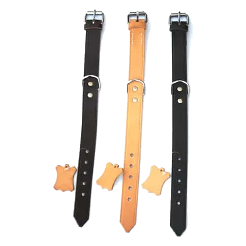 Breites Lederhalsband für Hunde, Größen T1 bis T7