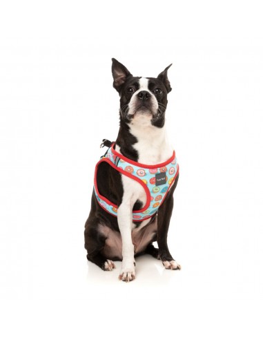 Step-in-Geschirr für Hunde FuzzYard You Drive Me Glazy, atmungsaktiv und reflektierend