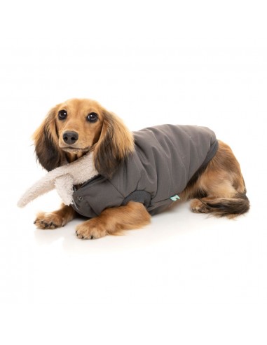 Bomberjacke für Hunde FuzzYard Nordic in Anthrazit mit abnehmbarem Schal
