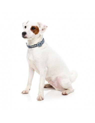 FuzzYard Thornbury Aegean Blue Neopren-Hundehalsband (Größe L)