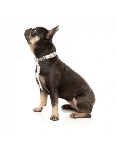 FuzzYard Yazd gepolstertes Neopren-Hundehalsband (Größe M)