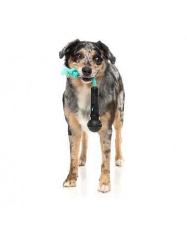 Hundespielzeug FuzzYard Mic Drop mit Seil und Quietscher