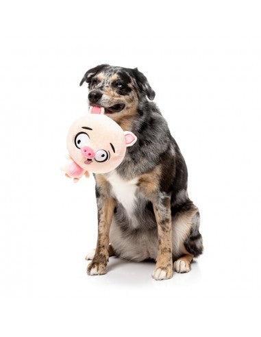 Plüsch-Hundespielzeug FuzzYard Noggins Snoop Hogg mit Quietscher