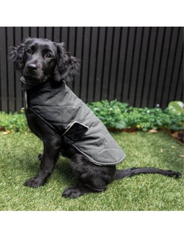 Gesteppte Hundeweste FuzzYard Life Slate Grey