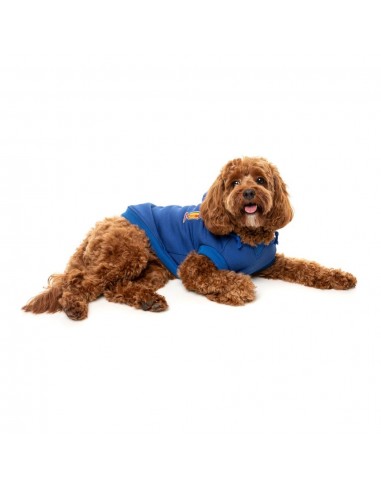 FuzzYard The Homies Hunde-Kapuzenpullover, Blau (Größe 1)