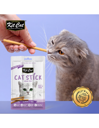 Katzensnack Kit Cat Cat Stick Huhn und Waldbeeren 15 g