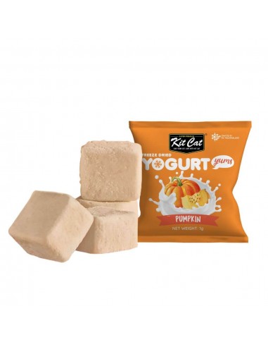 Katzensnacks Kit Cat Yogurt Yums Kürbis 10 g