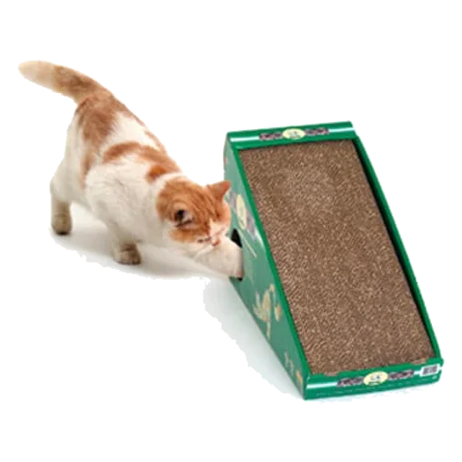 Kratzpappe mit Katzenminze