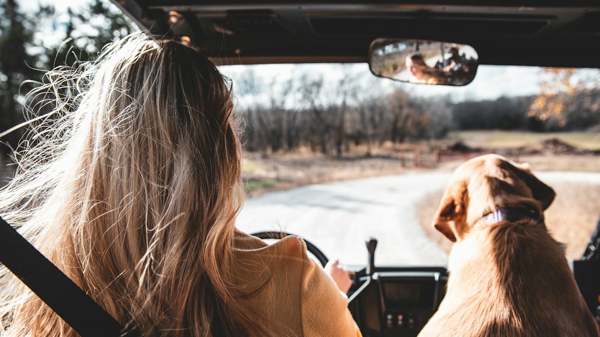 Mujer en el coche junto a su perro