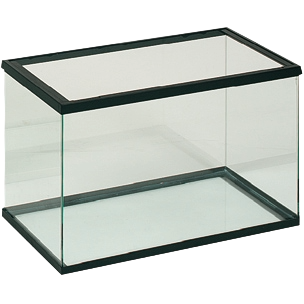 Aquarium aus schwarzem Glas