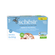 Schesir Nassfutter Katze Thunfisch mit Wolfsbarsch, 6 × 50 g, Multipack