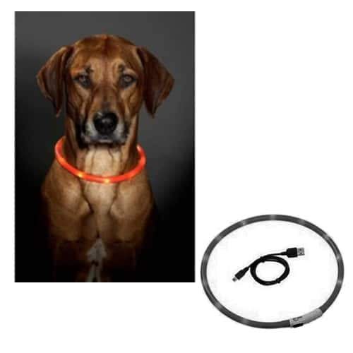 LED-Hundehalsband in Schwarz