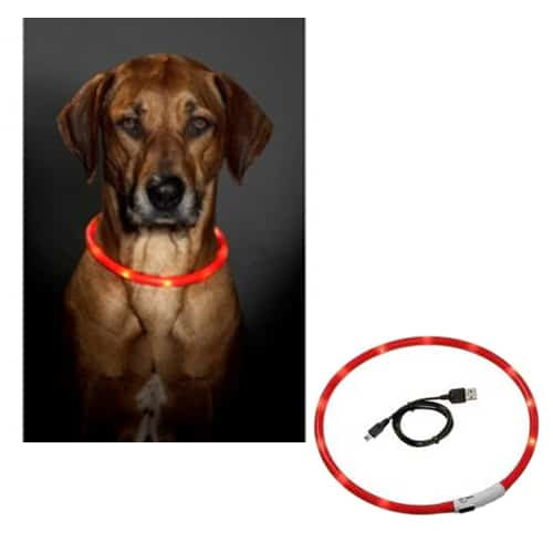 LED-Hundehalsband in Rot