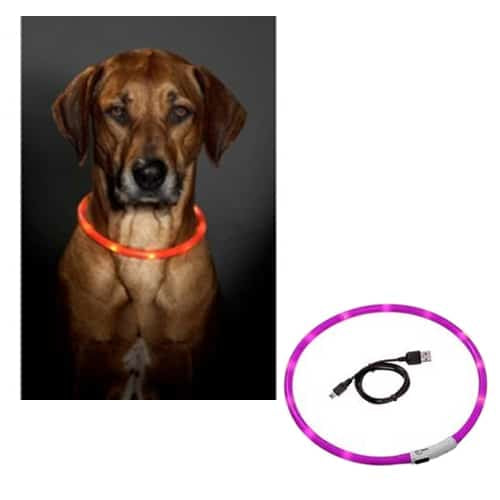 LED-Hundehalsband in Rosa