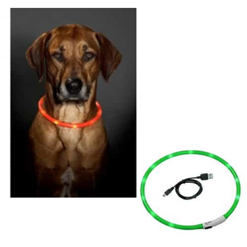 LED-Hundehalsband in Grün