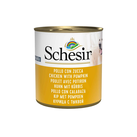 Schesir Nassfutter Katze Huhn mit Kürbis, Dose 285 g