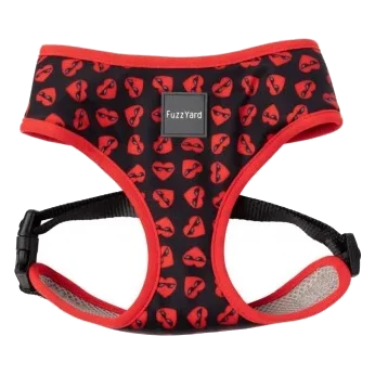 Atmungsaktives Hundegeschirr FuzzYard Heartbreaker