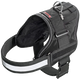 Xtreme Teflon Hundegeschirr Schwarz