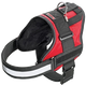 Xtreme Teflon Hundegeschirr Rot