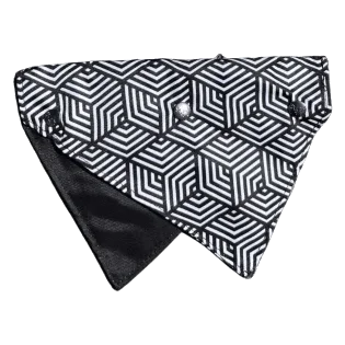 Wende-Halstuch für Hunde FuzzYard Fitzroy, Größe M/L
