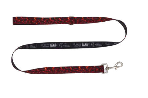 Bub's Lava Hundeleine, 25 mm, 120 cm – Originalbild
