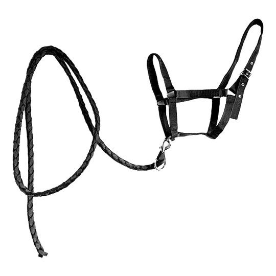Cabezada de nailon negra para caballo con ramal trenzado