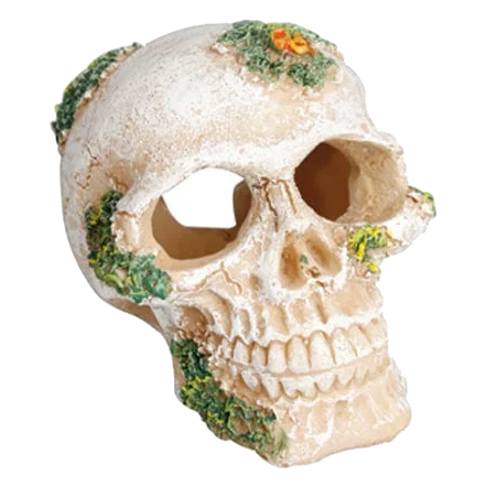 Totenkopf Aquarium Deko