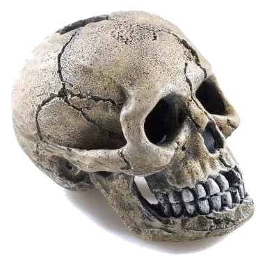 Totenkopf Aquarium Deko