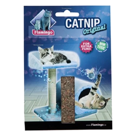 Natürliche Katzenminze
