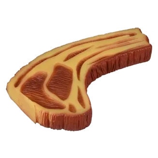 Hundespielzeug Riesen-Steak aus Vinyl, 22 x 13 x 3 cm