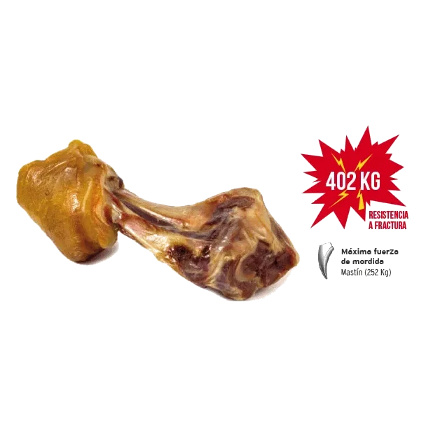 Mediterranean Serrano-Schinkenhaxe für Hunde, 550 g