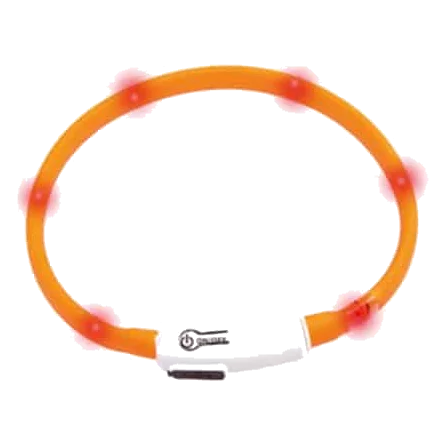 LED-Katzenhalsband in Orange