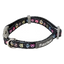 Hundehalsband FuzzYard Bed Bugs aus Neopren