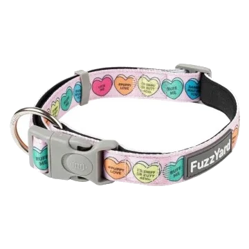 Neopren-Hundehalsband FuzzYard Candy Hearts
