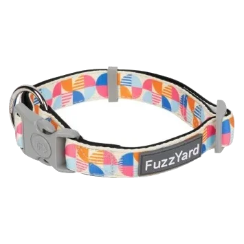 Hundehalsband FuzzYard Fresh Zest aus gepolstertem Neopren