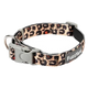 Neopren-Hundehalsband FuzzYard Javan