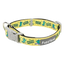 Hundehalsband FuzzYard Sk8ter Gator aus Neopren