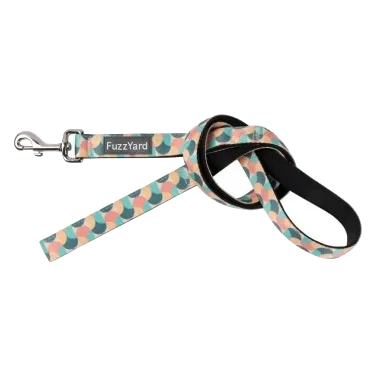 Hundeleine FuzzYard Carioca aus gepolstertem Neopren