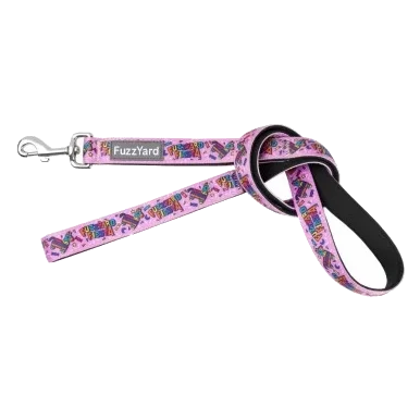 Hundeleine FuzzYard Fiesta aus gepolstertem Neopren