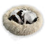 Beruhigendes Donut-Hundebett, Creme, 50 cm
