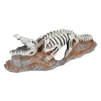 Krokodilskelett Aquarium Deko