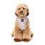 FuzzYard Bubblegum Burst atmungsaktives Hundegeschirr (Größe XS)
