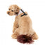 FuzzYard Bubblegum Burst atmungsaktives Hundegeschirr (Größe XS)