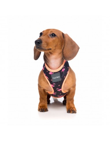 Atmungsaktives Hundegeschirr FuzzYard Fabmingo, Größe XL