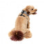 FuzzYard Fitzroy atmungsaktives Hundegeschirr (Größe XS)