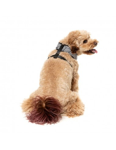 FuzzYard Fitzroy atmungsaktives Hundegeschirr (Größe XS)