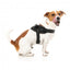Hundegeschirr FuzzYard Flash Blackout reflektierend