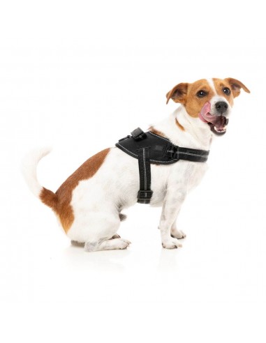 Hundegeschirr FuzzYard Flash Blackout reflektierend