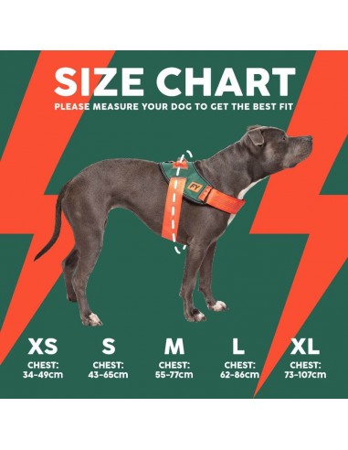 Hundegeschirr FuzzYard Flash Blackout reflektierend