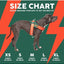 Hundegeschirr FuzzYard Flash Patriot reflektierend